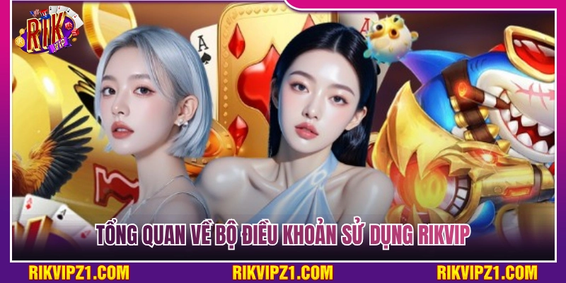 Tìm hiểu tổng quan bộ điều khoản sử dụng Rikvip 