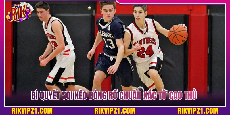 Kinh nghiệm soi kèo bóng rổ cực chuẩn từ các cao thủ 